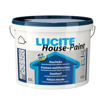 Lucite House-Paint