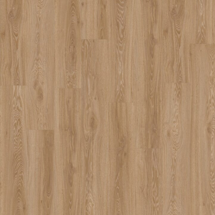 Blackjack Oak 22450 | Moduleo LayRed