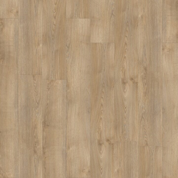 Sherman Oak 22232 | Moduleo Transform