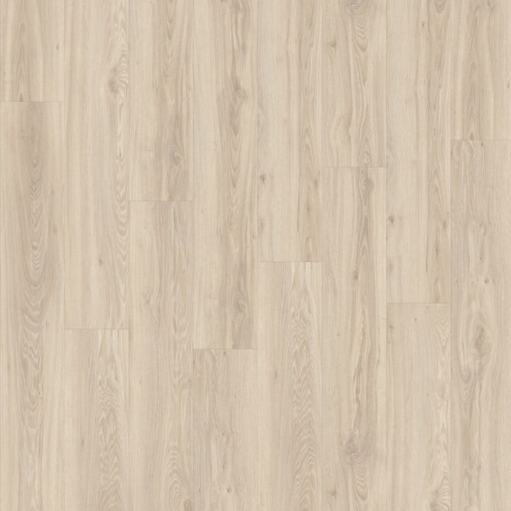 Blackjack Oak 22210 | Moduleo LayRed