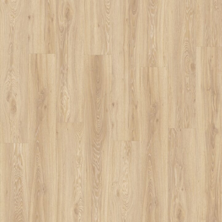 Blackjack Oak 22330 | Moduleo LayRed
