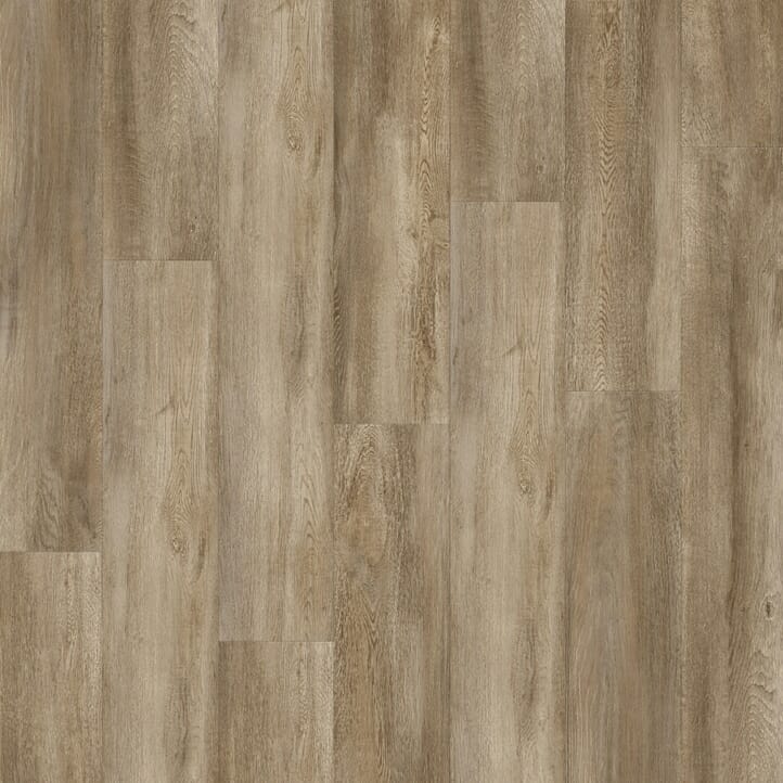 Santa Cruz Oak 59253 | Moduleo Impress