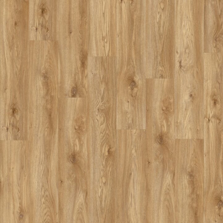 Sierra Oak 58346 | Moduleo Impress